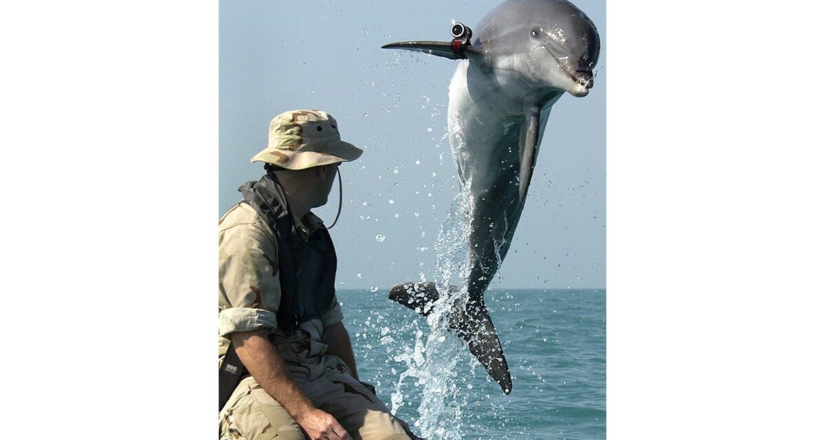 Military Marine Mammals