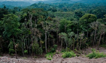 The Bantu Expansion: How Bantu People Changed Sub-Saharan Africa