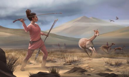 Prehistoric female hunter discovery upends gender role assumptions