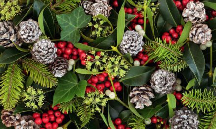 Christmas History Quiz 2021