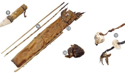 Got your bag? The critical place of mobile containers in human evolution