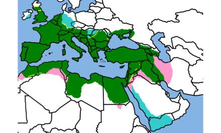 Cultural diversity – the making of Rome
