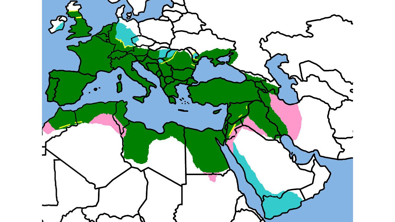 Cultural diversity – the making of Rome
