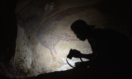 We found the oldest known cave painting of animals in a secret Indonesian valley