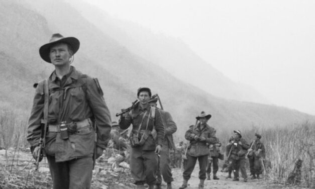 Quantity Becomes a Quality All of Its Own