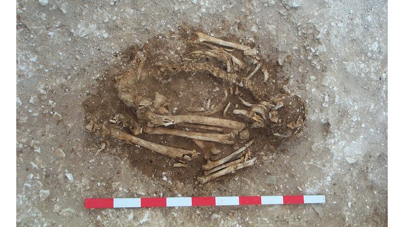 Explainer: what is radiocarbon dating and how does it work?