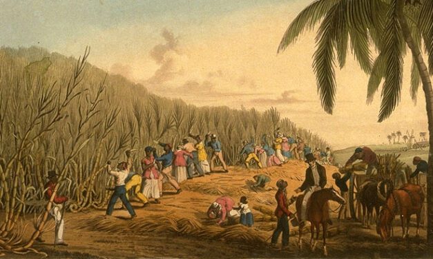 After Caribbean Slavery – Indentured Labour