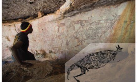 This 17,500-year-old kangaroo in the Kimberley is Australia’s oldest Aboriginal rock painting