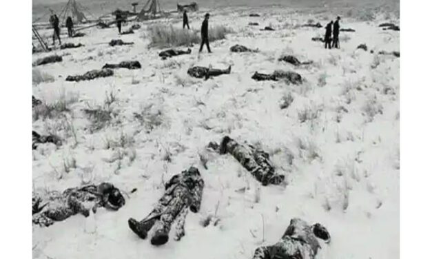 Wounded Knee: Shame or Honour?