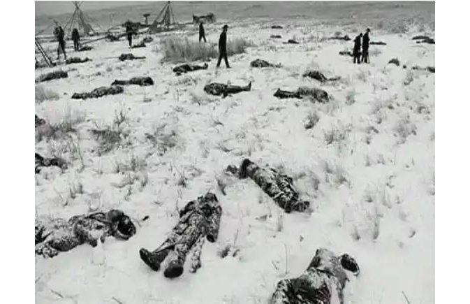 Wounded Knee: Shame or Honour?
