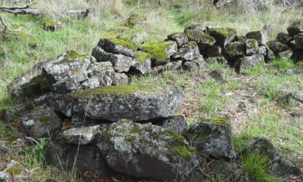 The detective work behind the Budj Bim eel traps World Heritage bid