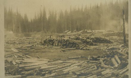 The Role of Wood in World History