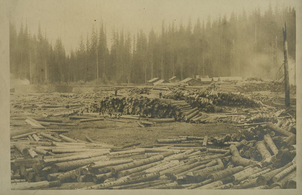 The Role of Wood in World History