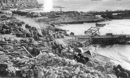 Twelve days at Anzac: the evacuation