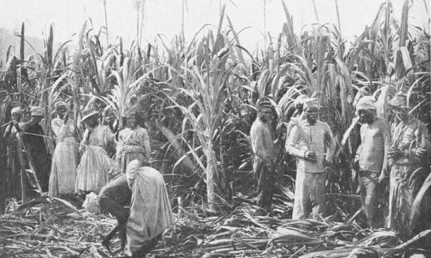 How one woman pulled off the first consumer boycott – and helped inspire the British to abolish slavery