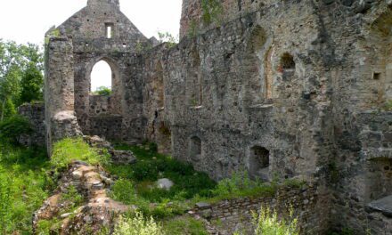 Rewilding: lessons from the medieval Baltic crusades