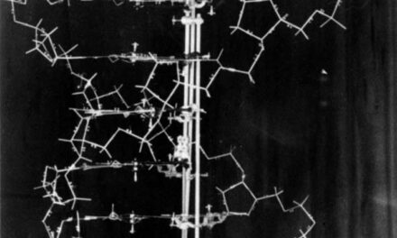 General History Quiz 115