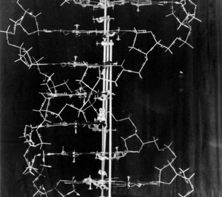 General History Quiz 115