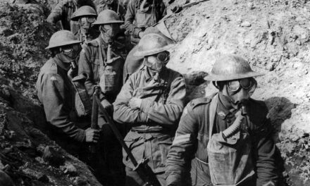 Polygon Wood – Podcast