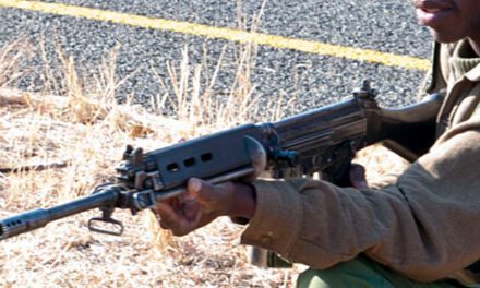 The R1 – South African Bush Rifle
