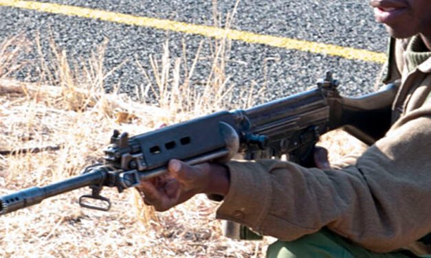 The R1 – South African Bush Rifle