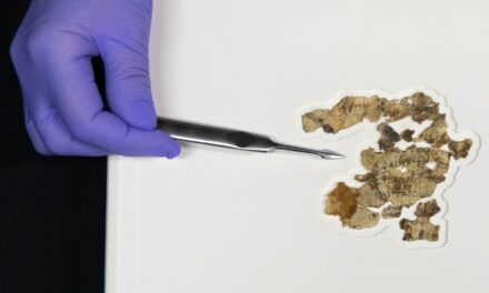 Cave of Horror: fresh fragments of the Dead Sea Scrolls echo dramatic human stories