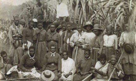 A slave state – how blackbirding in colonial Australia created a legacy of racism