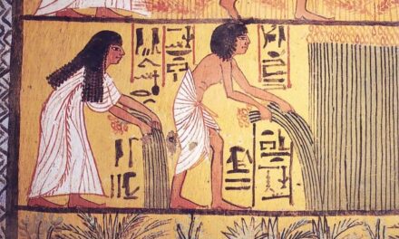 Unsung Heroes: Women’s Role in the Agricultural Revolution