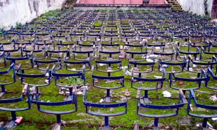 A new narrative unfolds about South Africa’s protracted war in Angola