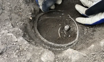 Swedish Viking hoard: how the discovery of single Norman coin expands our knowledge of French history