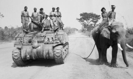 General History Quiz 206