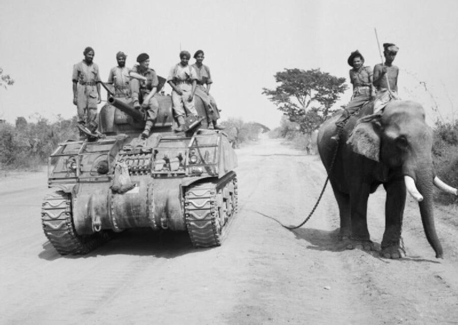 General History Quiz 206