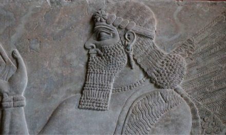 General History Quiz 209