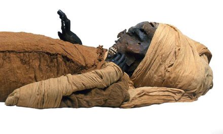 Scans reveal new details of how Egyptian pharaoh met a violent death