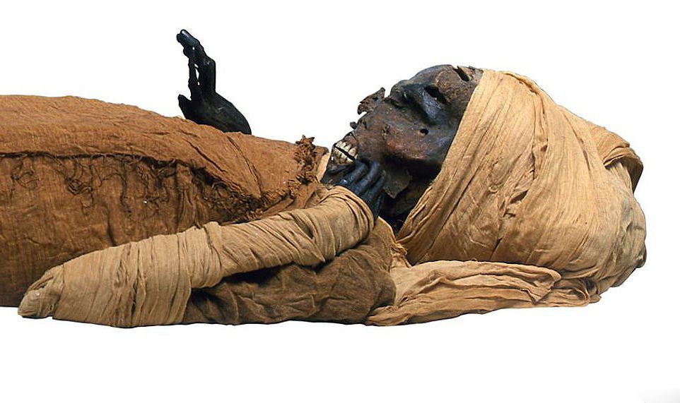 Scans reveal new details of how Egyptian pharaoh met a violent death