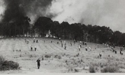 Our savage history of fighting bushfires
