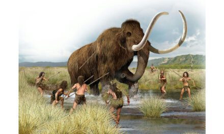 Weekly History Quiz No.248