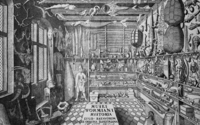 “A More Intimate Knowledge of it All:” The History of Museums