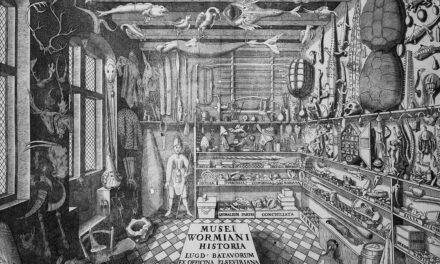 “A More Intimate Knowledge of it All:” The History of Museums