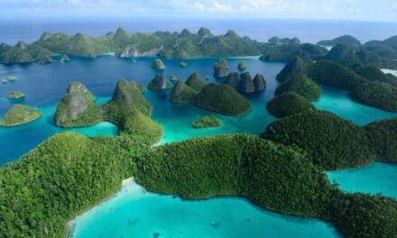 New evidence from West Papua offers fresh clues about how and when humans first moved into the Pacific