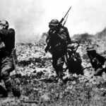 The 1918 Meuse-Argonne campaign was a disaster for the US army, so journalists glamorised 