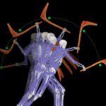 First-ever biomechanics study of Indigenous weapons shows what made them so deadly