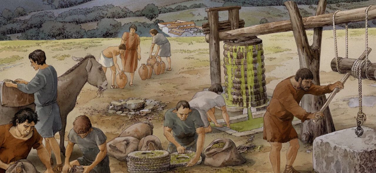 Olives have been essential to life in Italy for at least 6,000 years – far longer than we thought