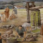 Olives have been essential to life in Italy for at least 6,000 years – far longer than we thought