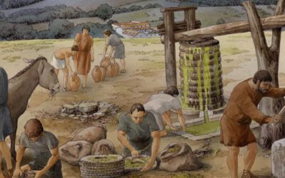 Olives have been essential to life in Italy for at least 6,000 years – far longer than we thought