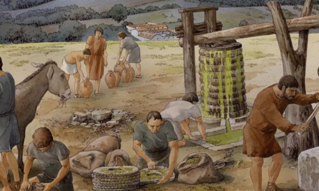 Olives have been essential to life in Italy for at least 6,000 years – far longer than we thought